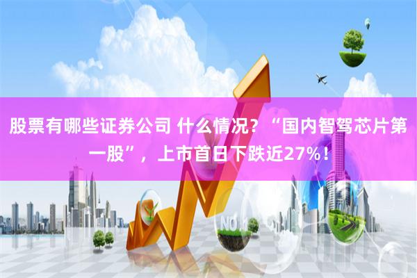 股票有哪些證券公司 什么情況？“國內智駕芯片第一股”，上市首日下跌近27%！