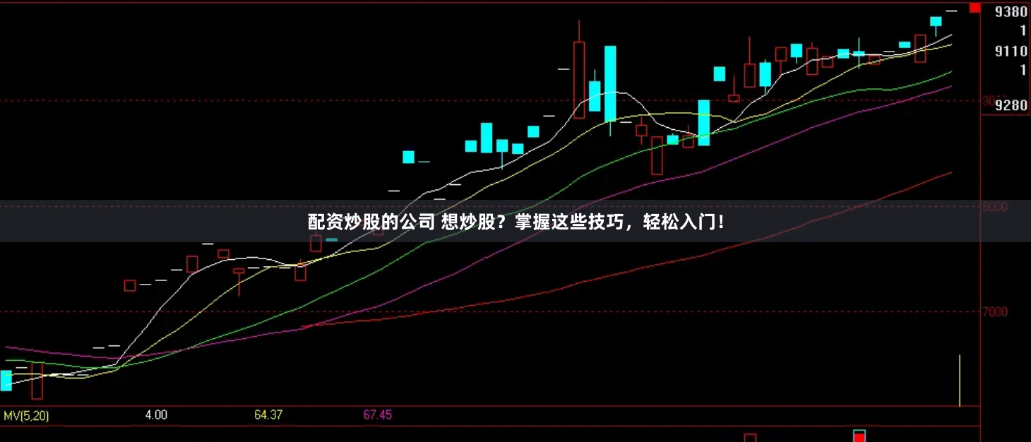 配資炒股的公司 想炒股？掌握這些技巧，輕松入門！