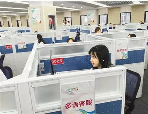 14個(gè)語種近300名翻譯 g20峰會(huì)多語服務(wù)平臺(tái)96020將上線